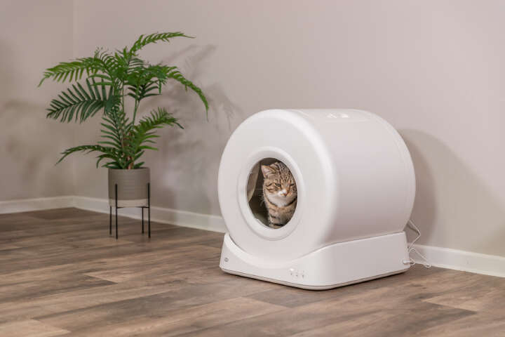 TRIXIE Smarte selbstreinigende Katzentoilette